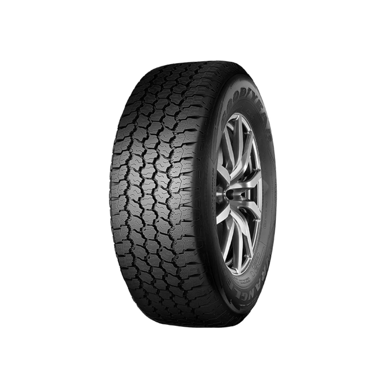 GOODYEAR WRL AT ADVENTURE