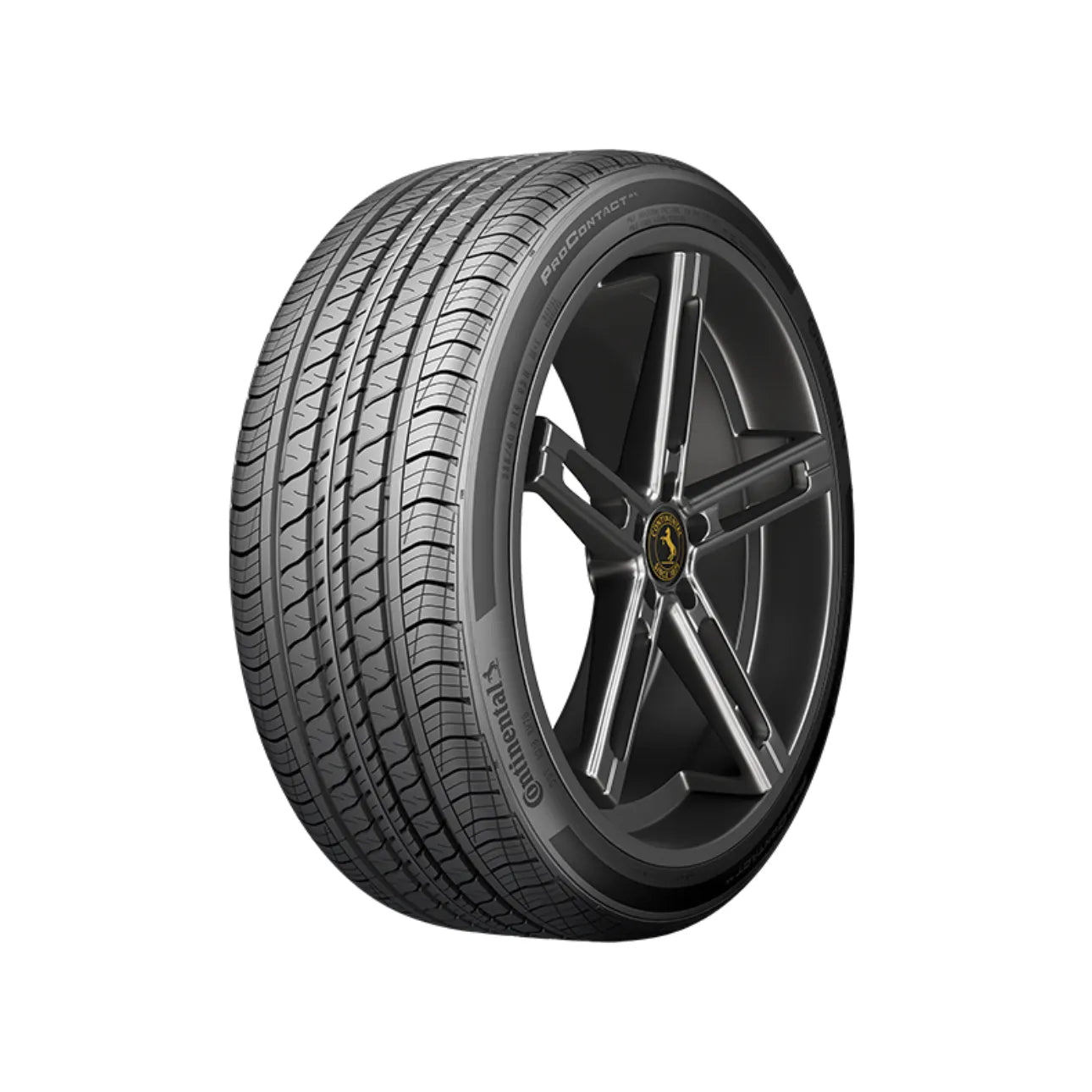CONTINENTAL PROCONTACT RX XL