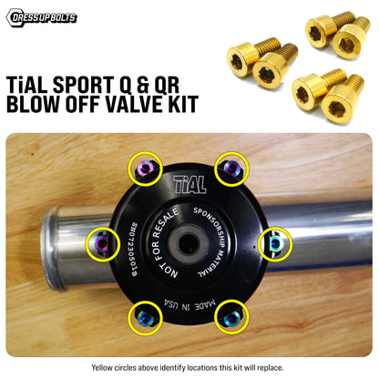 Fast Turn Fittings Titanium Hardware Blow Off Valve Kit - TiAL Sport Q/QR