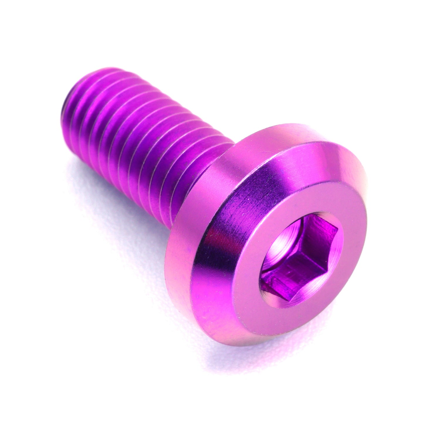 M8 x 1.25 x 20mm Titanium Motor Head Bolt