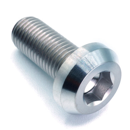 M10 x 1.25 x 25mm Titanium Motor Head Bolt
