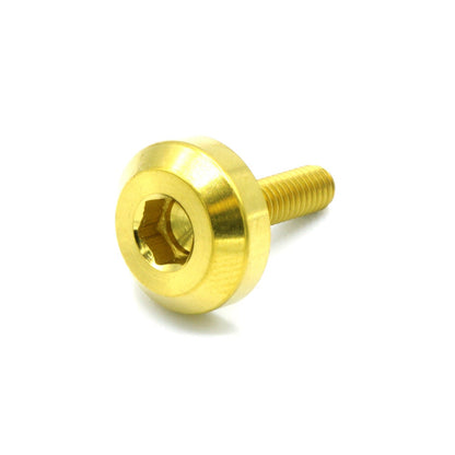 M4 x .7 x 15mm Titanium Motor Head Bolt