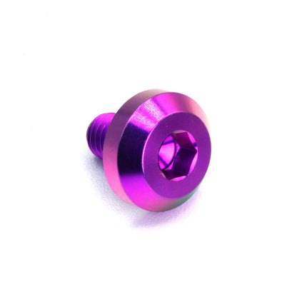 M6 x 1.00 x 10mm Titanium Motor Head Bolt